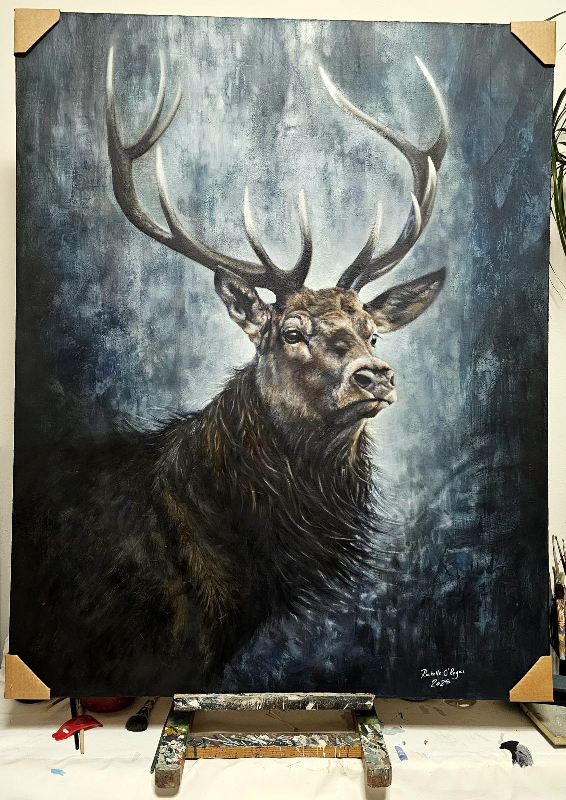 Fia Gheimhridh (winter Deer)