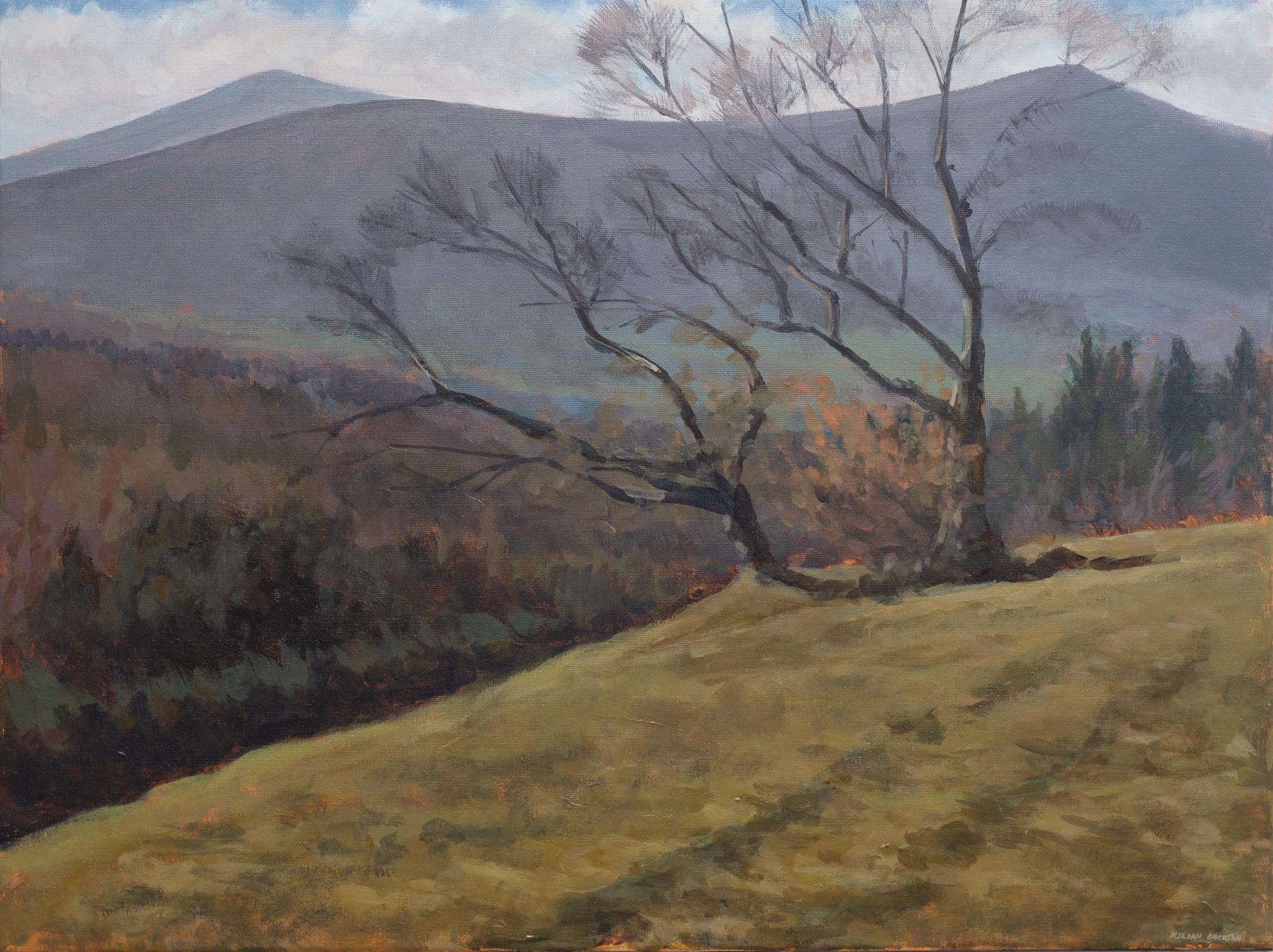 Winter light, Powerscourt