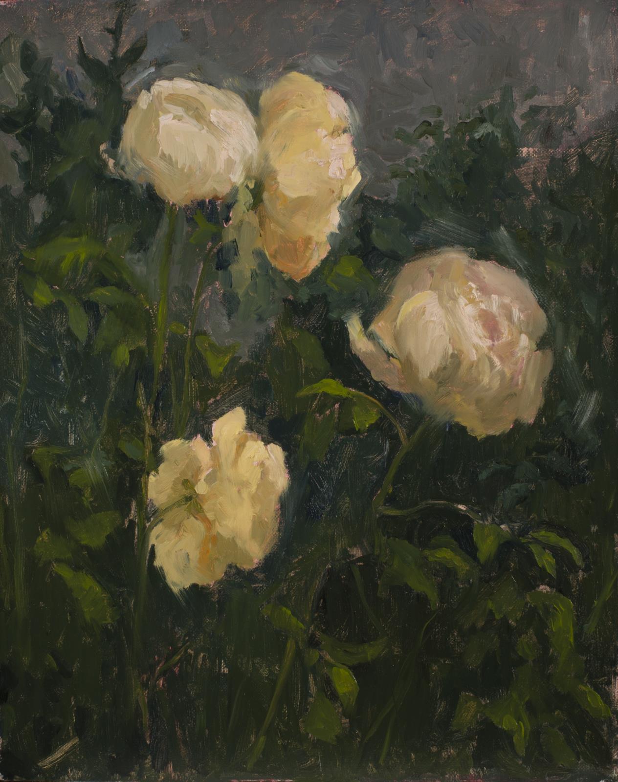 Summer Solstice Roses