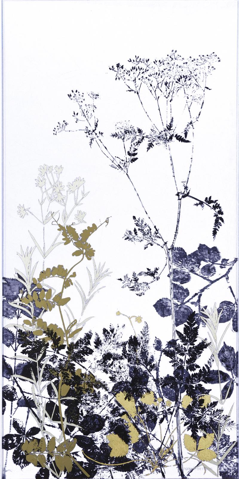 Hedgerow silhouettes with Cow parsley and Vetch 