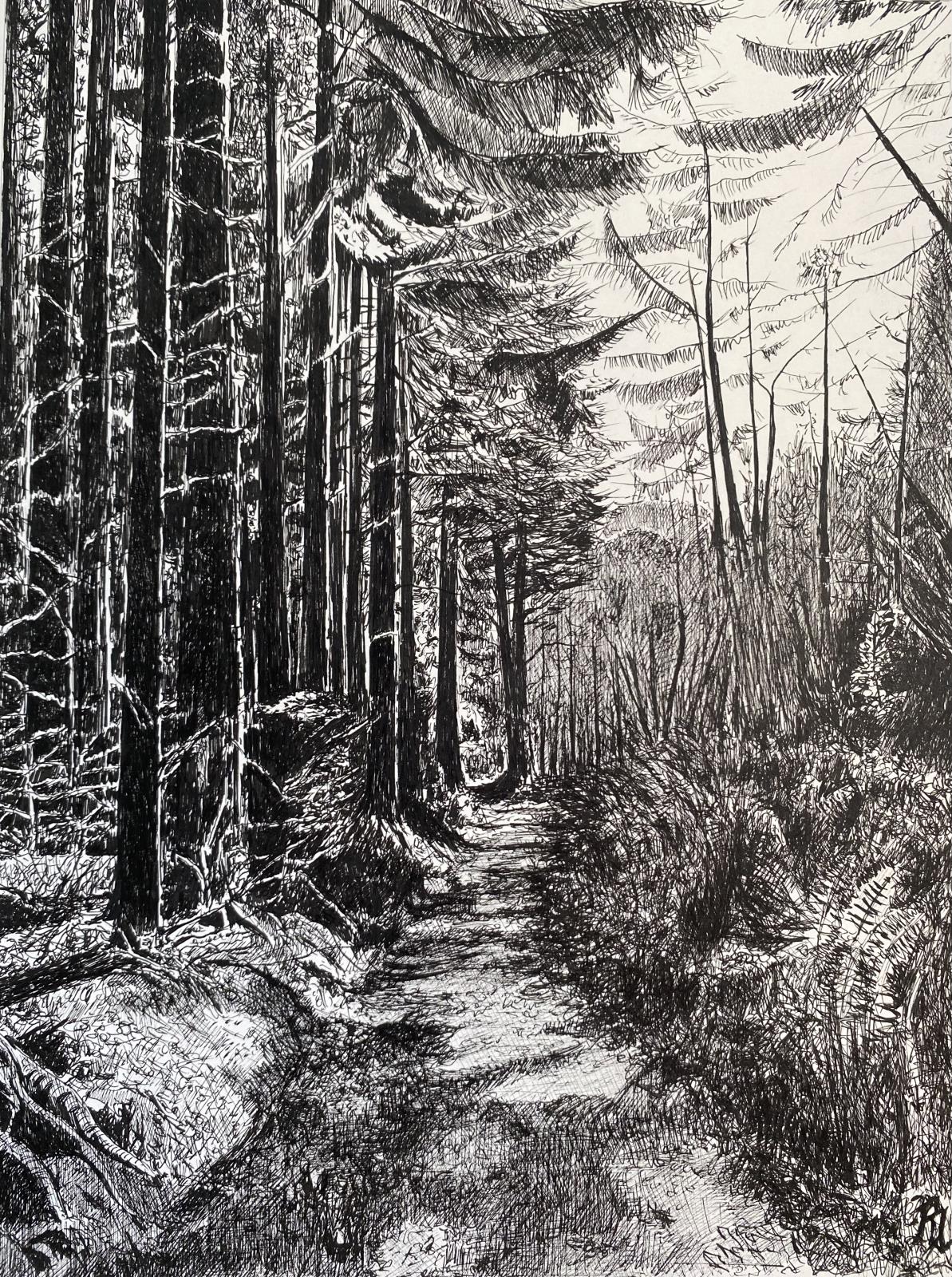 Devil’s Glen, Co. Wicklow