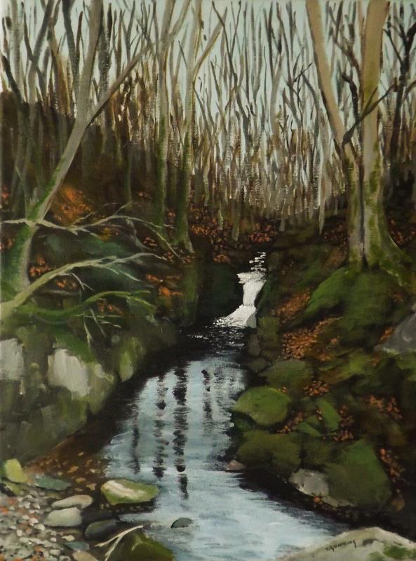 Shankill River at Cloughlea