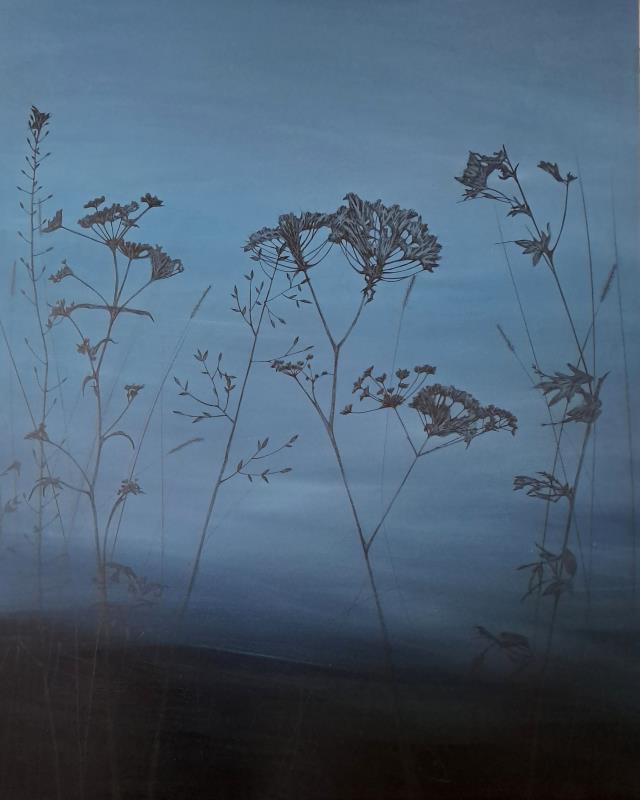 Where Silence Settles