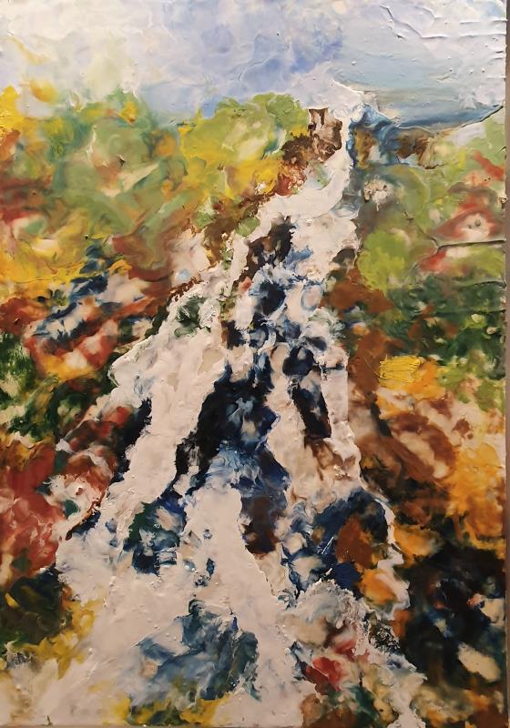 Powerscourt Waterfall 