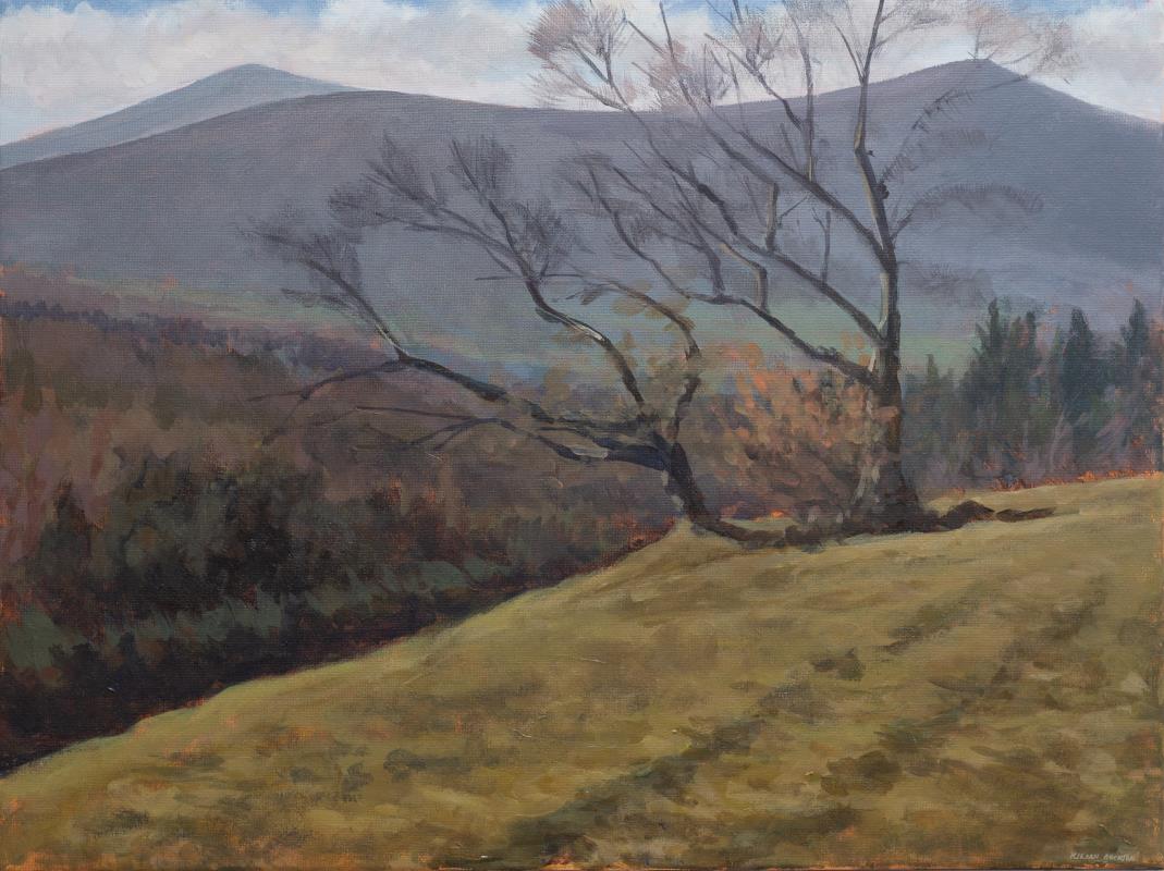 Winter light, Powerscourt