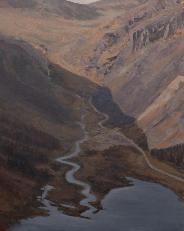 The Spinc's Shadow #2