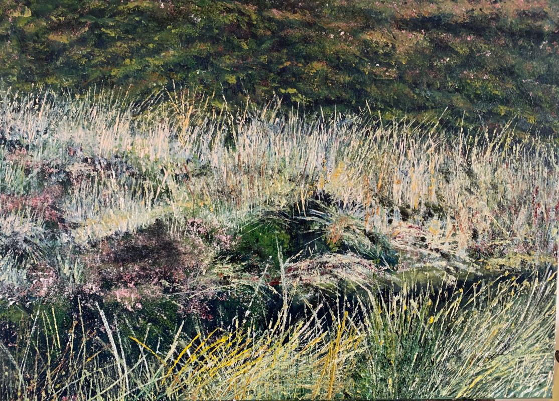 Bogland grasses