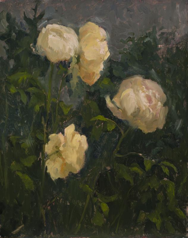 Summer Solstice Roses