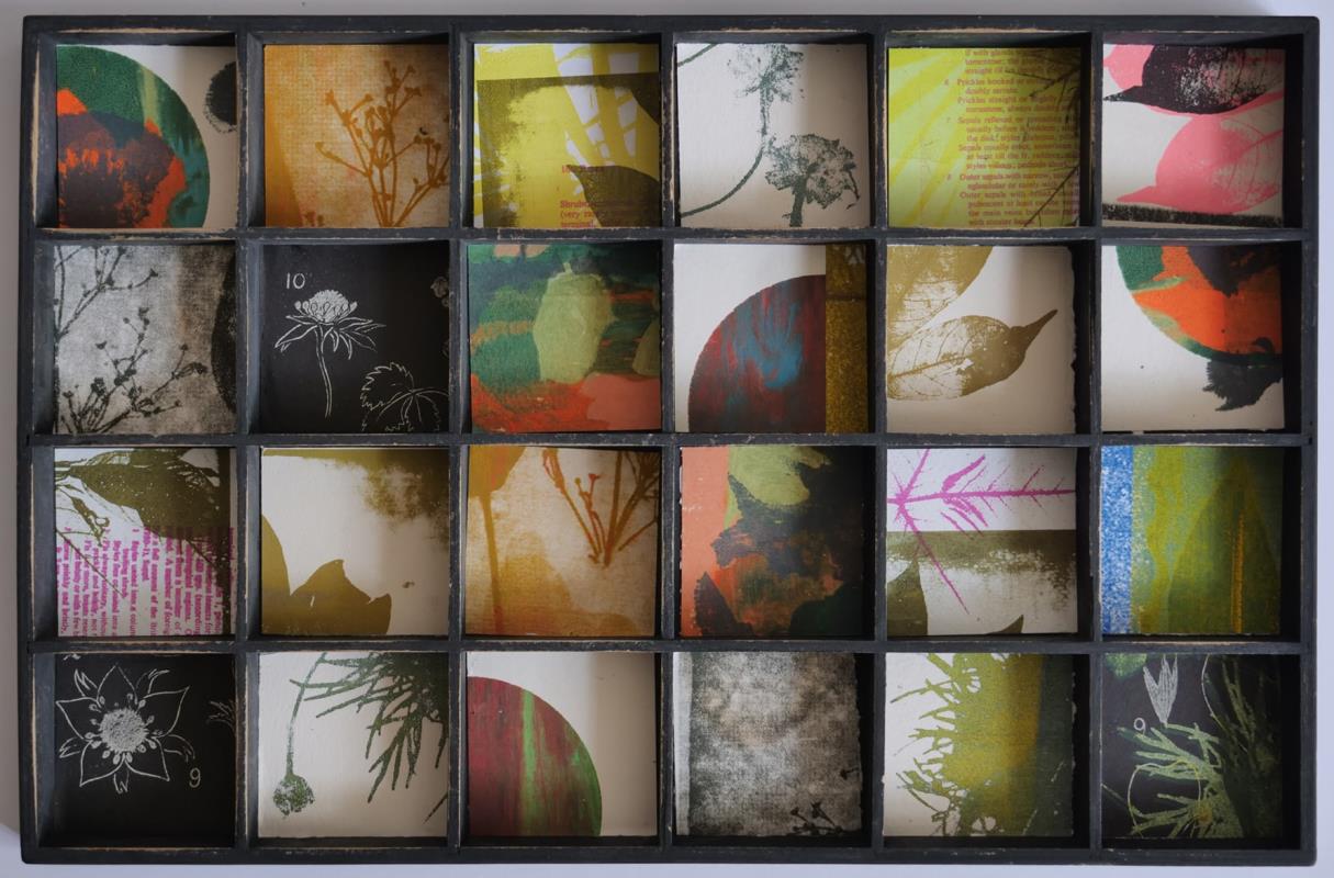 Fragments of Biodiversity