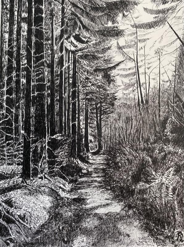 Devil’s Glen, Co. Wicklow