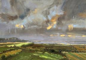 Moonlit Fields