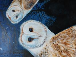 Midnight Owls