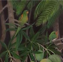 Pocket Jungle: Green Parrot 