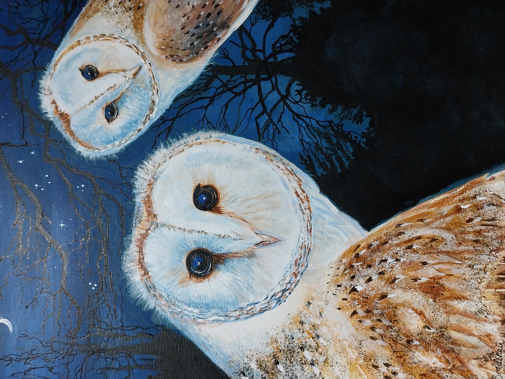 Midnight Owls