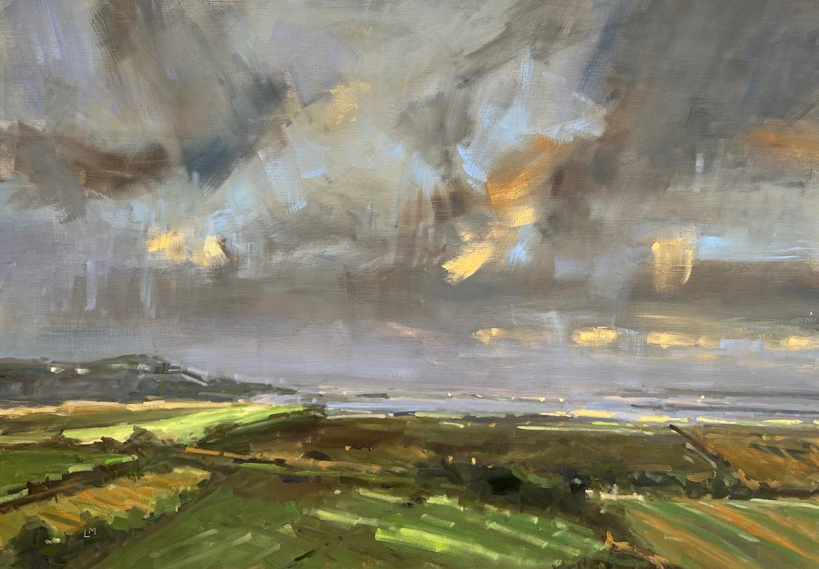 Moonlit Fields