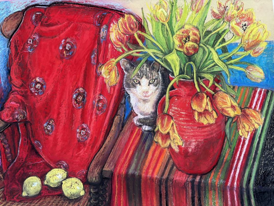Jasper cat among the Tulips