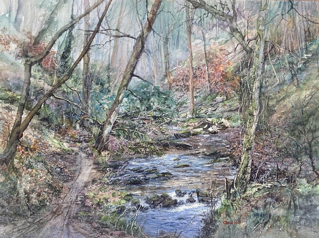 Woodland Walk - Derbyshire Dales