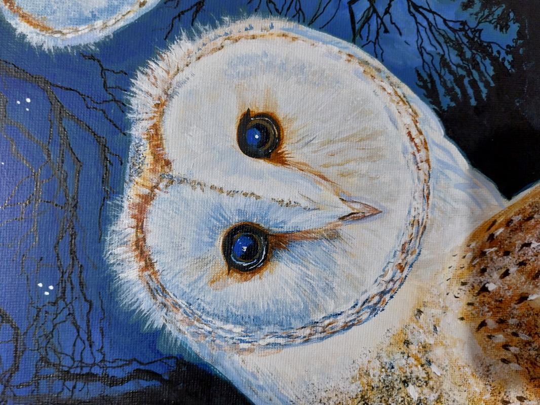 Midnight Owls