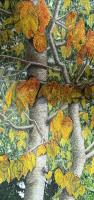 Autumn Cherry Tree