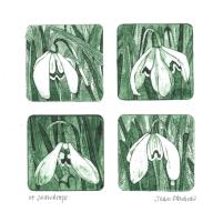 Snowdrops