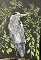 Heron at Rest