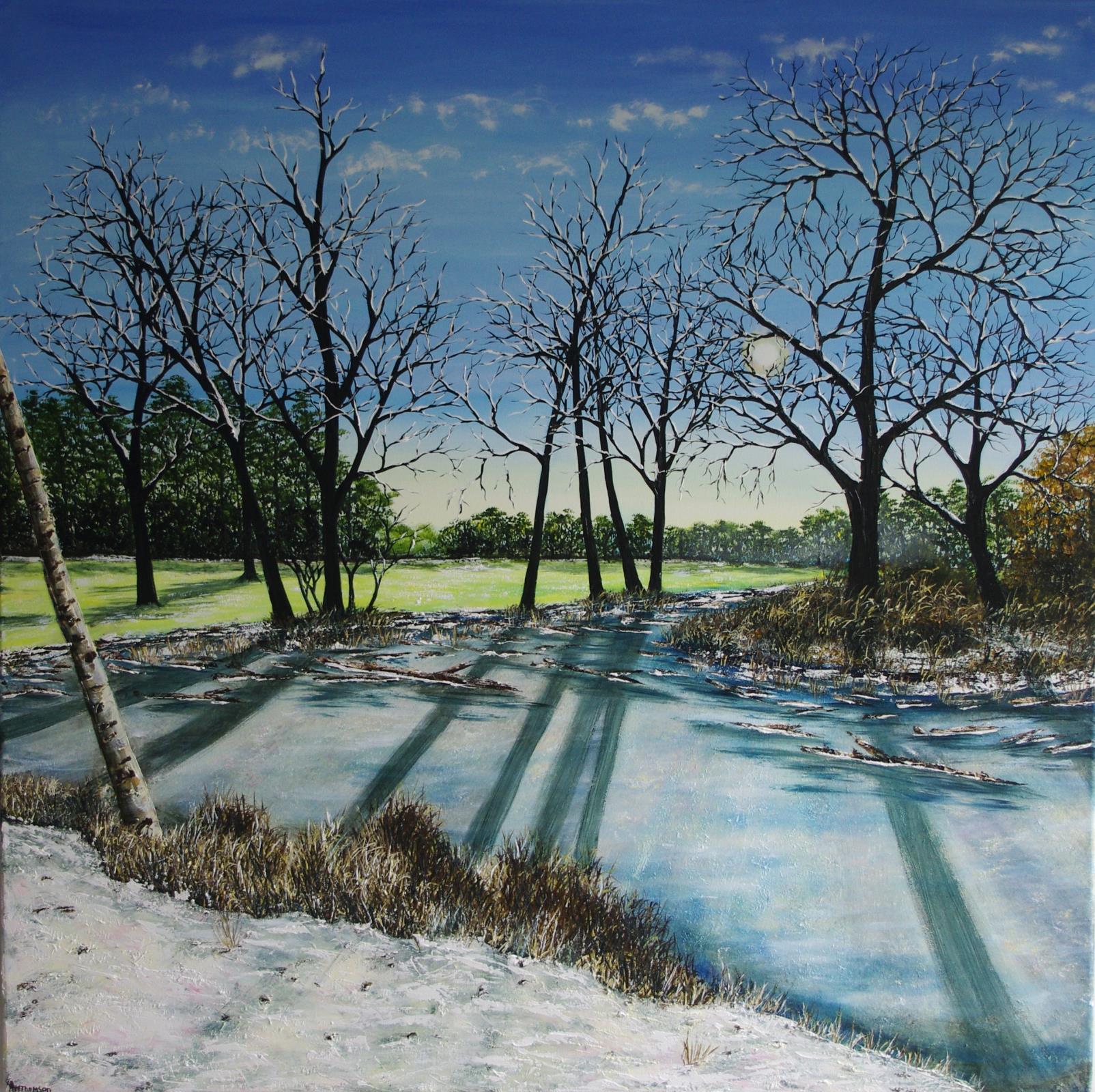 Frozen Pond