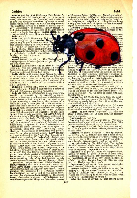 Ladybird on 1907 Dictionary Paper 