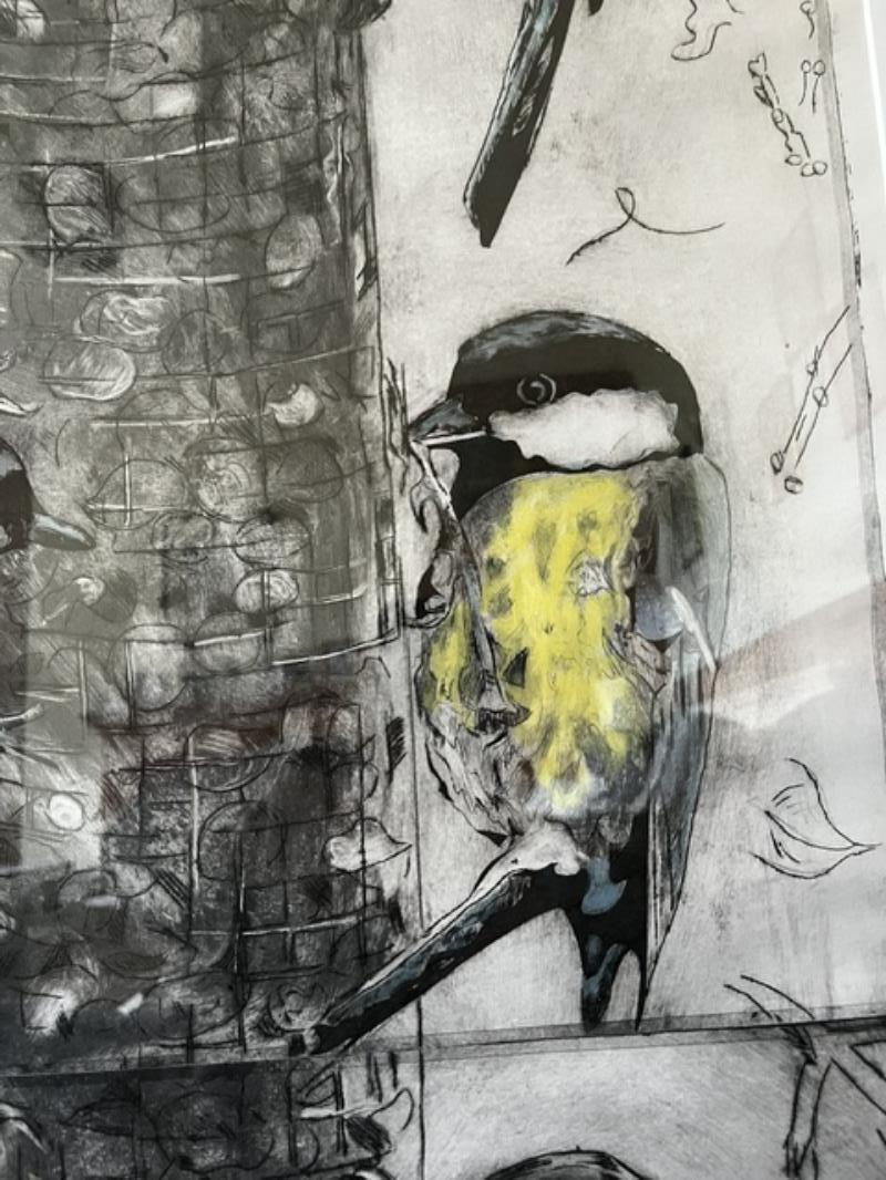 Garden Birds