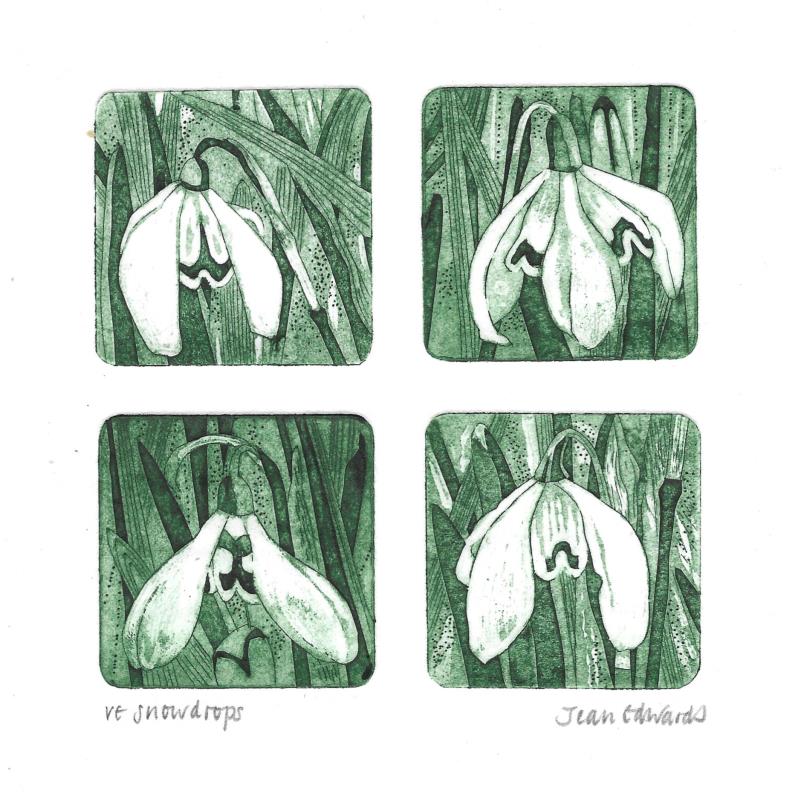 Snowdrops