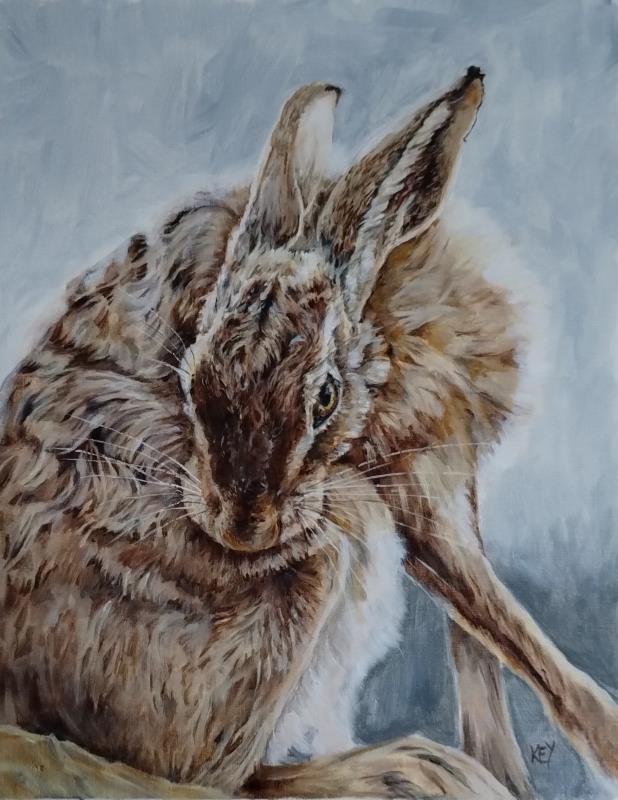 Grooming Hare