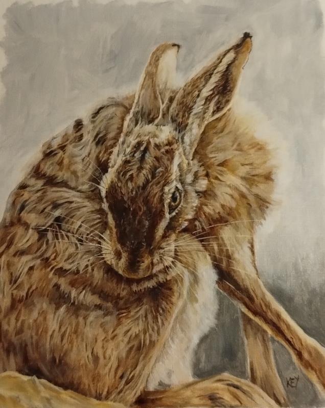 Grooming Hare
