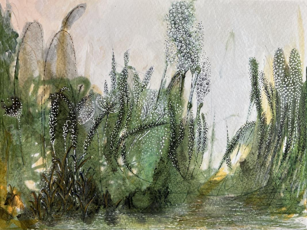 Immersion along the riverbank 1