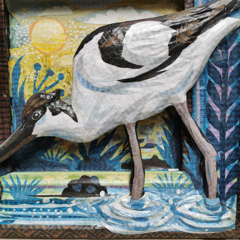 The Avocet