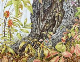 Forest Floor