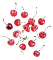 Prunus avium (Sweet Cherry)