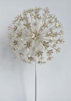 Allium hollandicum, ninety flowers