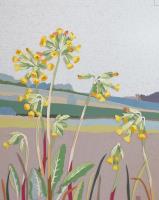 Cowslips on the Marshwood Vale
