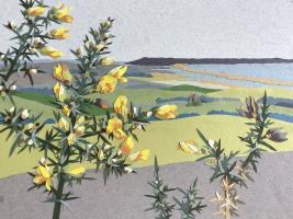 Gorse on Abbotsbury Hill