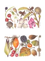 Natures Treasures - Autumn and Winter
