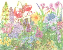 100 Wildflowers of Jeju Island, Korea - Hallasan Mountain