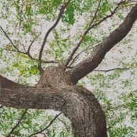 Natural History 23