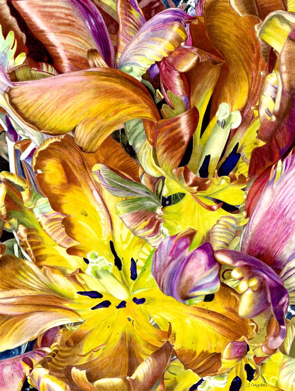 Autumn Tulips 1