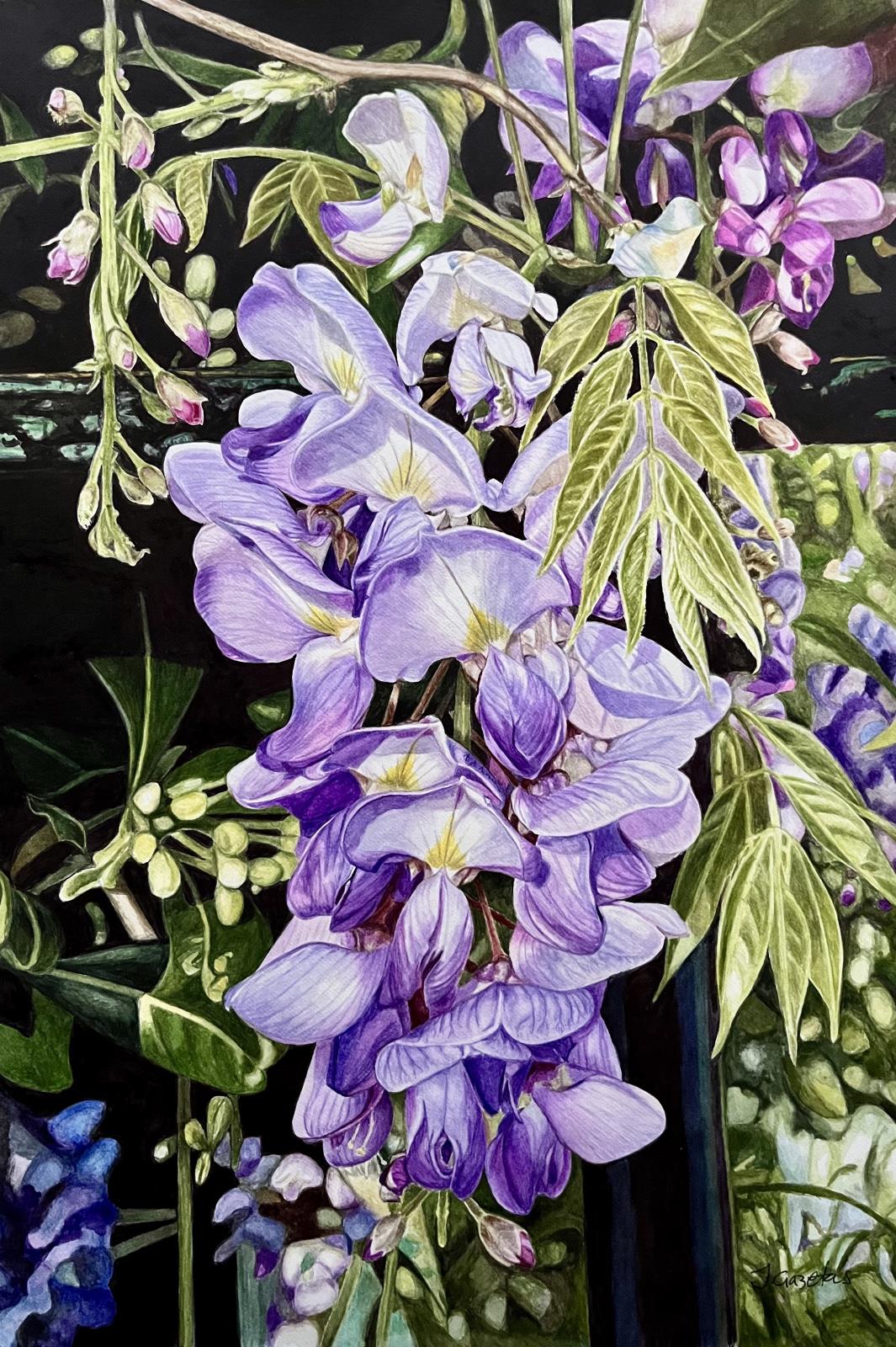Wisteria 2