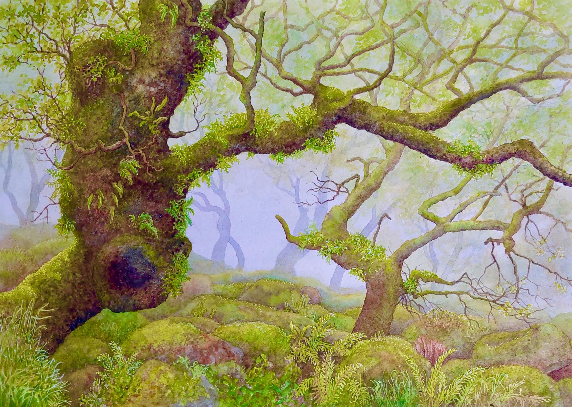 Wistman's Wood, Dartmoor