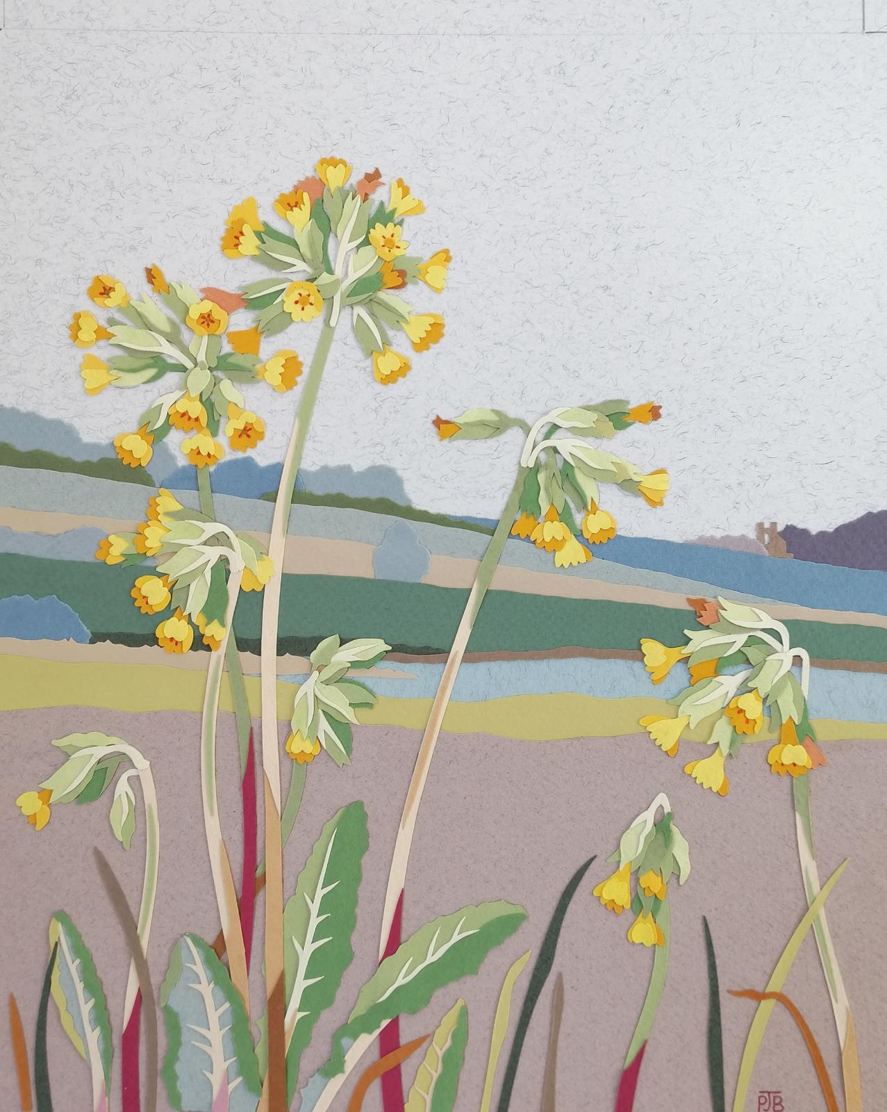 Cowslips on the Marshwood Vale