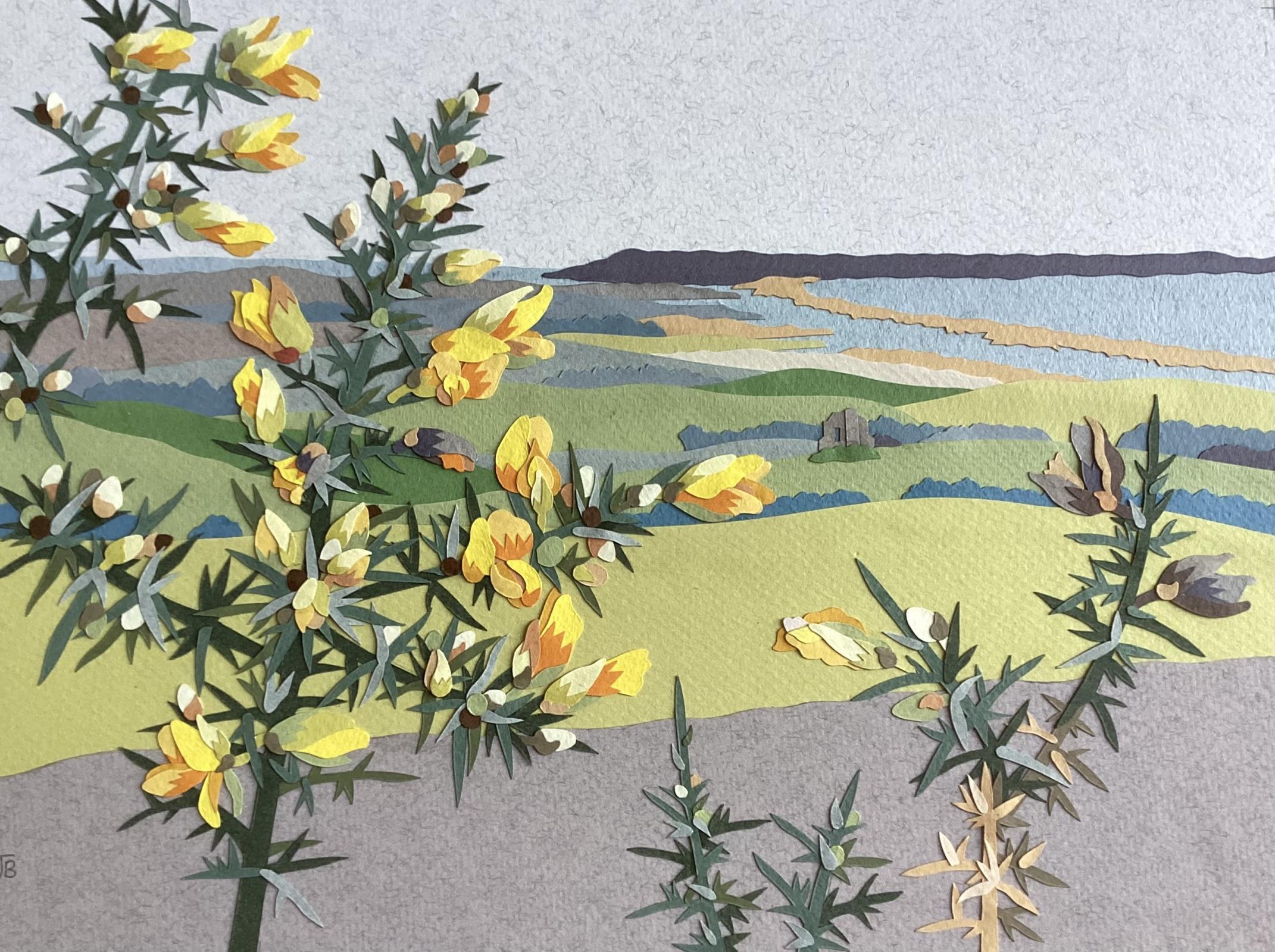 Gorse on Abbotsbury Hill