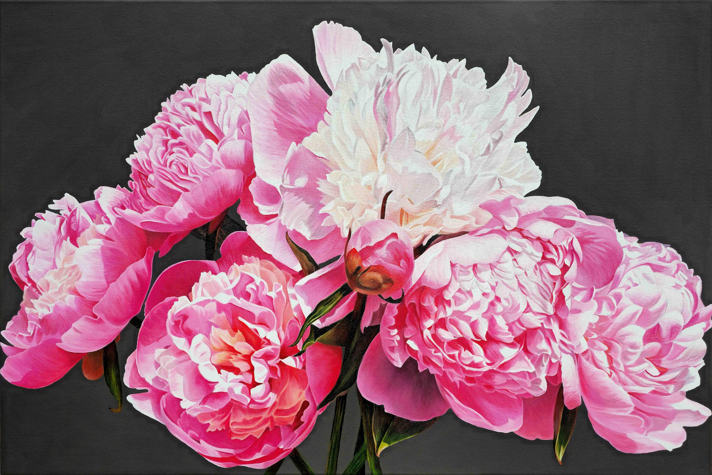 Pink Peonies