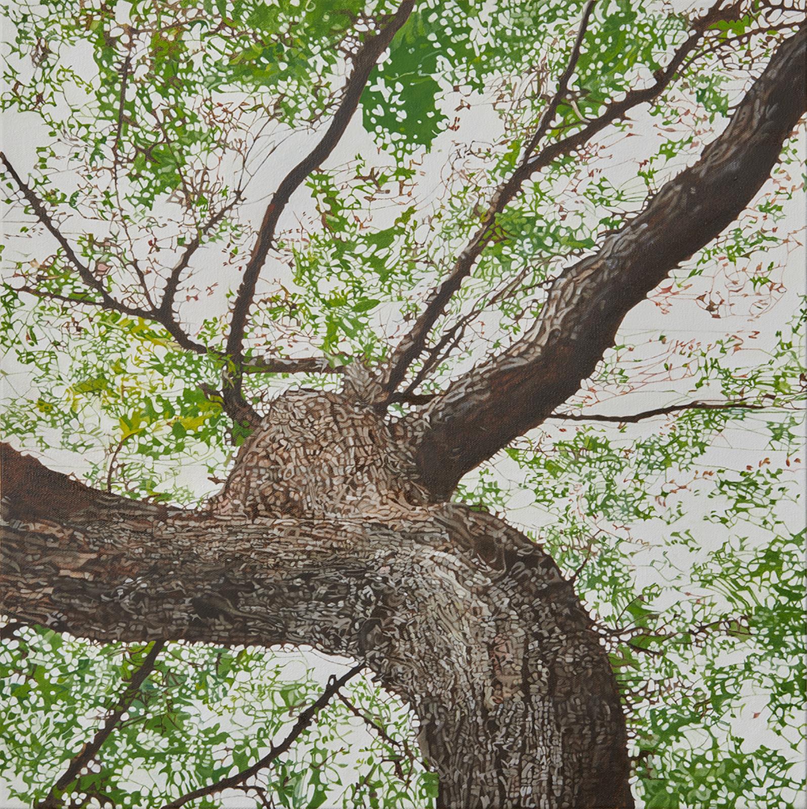 Natural History 23