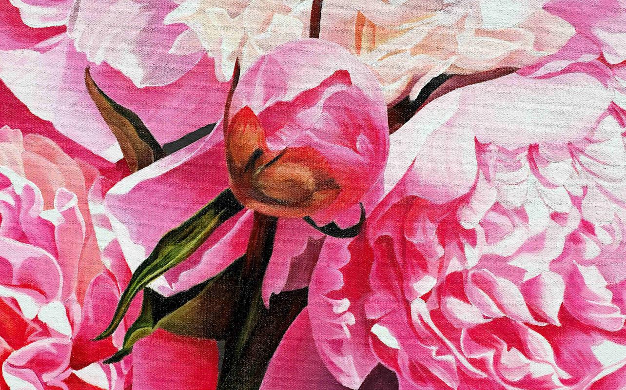 Pink Peonies