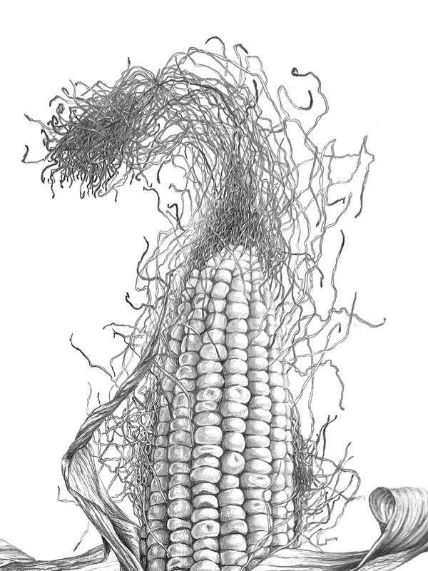 Corn